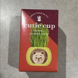 Indigo Cutie Cup Grass Growing Kit - Red and Orange